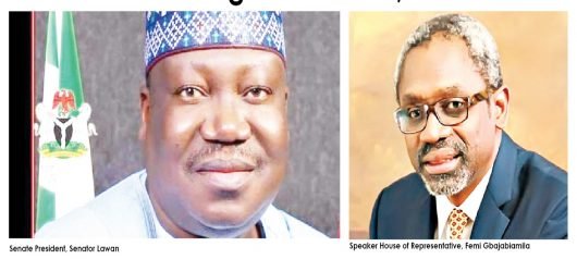 Nigerian Senate in session