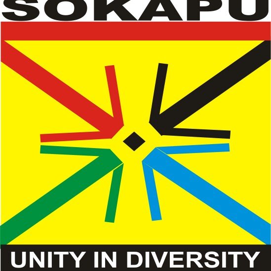 Unity, heritage take center stage at Southern Kaduna cultural festival in Gwagwalada