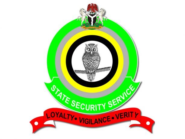 DSS-LOGO DSS