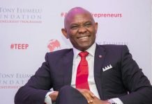 Tony Elumelu to retire as UBA chairman in August
