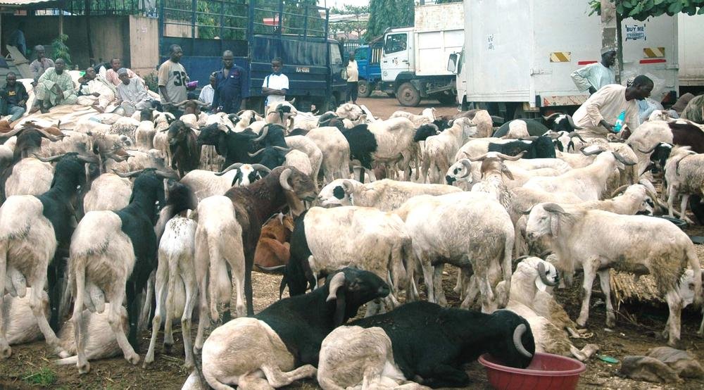 Ram-Market