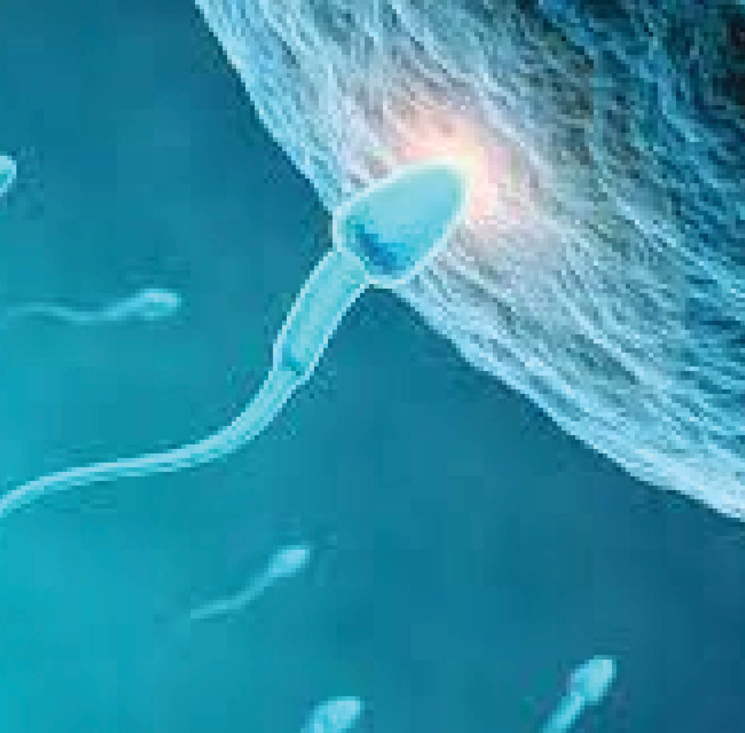 How AI may be powerful tool in treating male infertility
