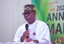 June 12: Adebayo Sounds Alarm, Says Democracy Under Siege 33 Years After Historic Vote