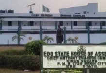 Ex-Edo LG chairmen seek grassroots security powers, funding
