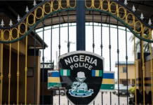 Niger Police arrests two suspected for rape, homosexual offence