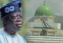 The war Nigeria must fight