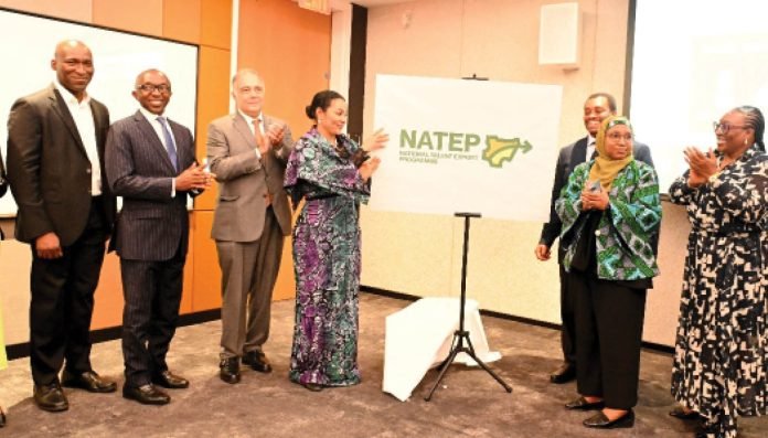 FG Relaunches Talent Export Programme to Create 1 Million Jobs, Attract $1bn Investment