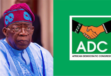 Rising national insecurity, others: ‘You are distracted by politics’, ADC tells Tinubu
