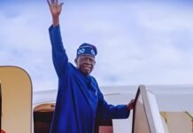 Tinubu Sweeps Borno APC Presidential Primaries