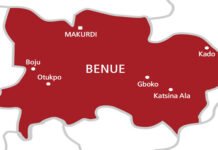 At least nine persons have been confirmed dead, with several others injured, following attacks by suspected armed bandits on Edikwu–Ankpali in Apa Local Government Area of Benue State. The Chairman of Apa LGA, Adams Ogwola, confirmed the incident to our correspondent in a message on Monday. He disclosed that one person was killed in Ikobi and another in Adija. However, a local source presented a higher casualty figure, claiming the attacks occurred on both Friday and Sunday, leaving no fewer than 13 people dead—three on Friday and 10 on Sunday. The source added that local youths are still combing surrounding bushes in search of more bodies. He also revealed that a mobile police officer was killed in Upu, Otukpo LGA, on Saturday. Reacting to the development, the member representing Apa/Agatu Federal Constituency in the House of Representatives, Pastor Ojotu Ojema, condemned the late Sunday night attack on Edikwu–Ankpali community, allegedly carried out by suspected Fulani herdsmen. In a statement issued by his media aide, Ekani Olikita, Ojema described the killings as barbaric, senseless, and a grim reflection of the persistent insecurity facing communities in the constituency and across Benue State. He expressed deep sorrow over the loss of lives and extended condolences to the bereaved families and the affected community. The lawmaker decried the recurring attacks in Apa and Agatu LGAs, noting that the violence has continued to inflict hardship, fear, and displacement on residents. Ojema called on security agencies to act swiftly and decisively to end the ongoing bloodshed, stressing that the situation has persisted for too long without a lasting solution. “It is unacceptable that our people continue to live in fear, unable to access their homes or farms, while suffering repeated attacks without adequate protection. Security agencies must rise to their responsibilities and bring these killings to an end,” he said. He further urged the Federal Government to address the root causes of insecurity in the state and ensure that those responsible for the attacks are apprehended and prosecuted. While appealing for calm, Ojema reassured his constituents of his commitment to engaging relevant authorities to improve security and restore lasting peace in the area.