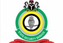 Reps Public Hearing: DSS Pushes for Trust Fund Bill Changes, Rejects Foreign Funding for Intelligence Operations
