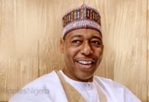 Zulum lauds unity as APC adopts consensus candidate for Borno Reps seat