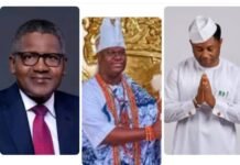 Dangote, Ooni of Ife Congratulate Tein Jack-Rich on Special Birthday