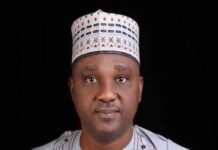 Bridging revenue gap central to fiscal stability – Speaker Abbas