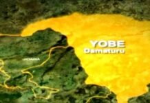 Council warns politicians against importing thugs into Yobe