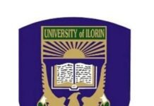Don’t rely on government for funding, Unilorin VC advises African universities
