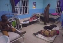 BREAKING: NAF airstrike hits border market in Yobe