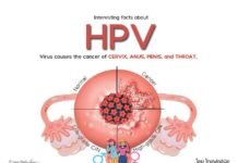 Stakeholders want more awareness on HPV infection, cervical cancer