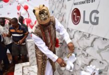 LG delivers solar borehole to boost water access in Imo community