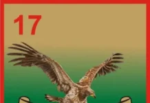 Army Clarifies Circumstances Surrounding Soldier’s Death in Katsina