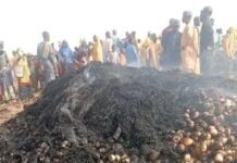 Fire razes 2,275 onion bags worth N56.8m in Sokoto village
