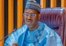 Group raises concerns over Dangiwa’s exit