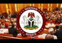 Focus on Sector Reforms, not NNPCL probe —- CSOs tell Senate