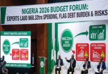 N68.3tn budget breakdown sparks concerns over debt burden