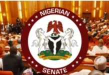 APC Gains More Ground as Senate Names Nwoye Minority Whip Amid Fresh Defections