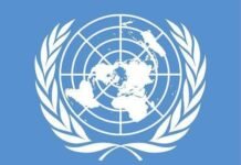 Global trade rises in 2025 as manufacturing expands 11% – UNCTAD