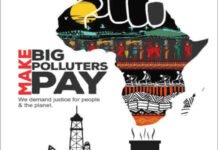 World Earth Day: MBPP coalition urges govts to Africa ecosystem, hold Shell others accountable