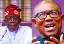 Obi-led ADC ticket can unseat Tinubu -Dr. Udenta