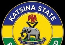 Katsina Police arrest man seeking womb of new born for ritual