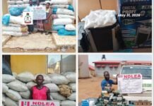 NDLEA intercepts cache of military-grade ammunition heading to Katsina