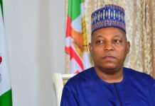 Shettima urges unity as Gubio emerges Borno APC guber candidate