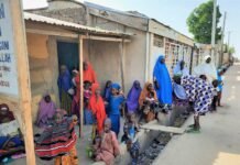 Displacement Crisis Raises Fears of Disease Outbreaks, Rising STDs in Zamfara