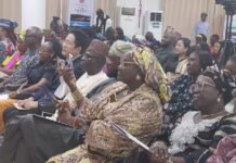 China,Nigeria pedge deeper ties at 2026 China Tourism Day celebration in Abuja