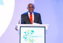 Africa Cannot Afford To Be Left Behind In Global Maritime Race” — Dantsoho
