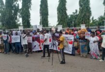 Delta North: Anioma APC group insists on Ned Nwoko