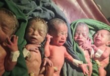 Ethiopian woman’s joy at rare quintuplets after 12 years trying for a baby