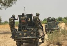 Troops Neutralise Several Lakurawa Terrorists, Recover Weapons, Rustled Cattle