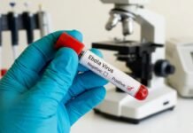 WHO Warns Against Panic as Ebola Outbreak Spreads in DRC, Uganda