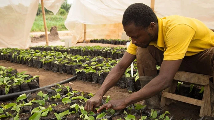 climate-smart’ farming