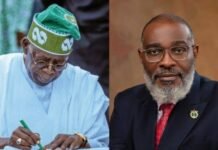 President Tinubu, Famadewa and Nigeria’s Homeland Security