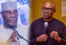 Atiku, Obi Should Share Blame for Nigeria’s Insecurity — NEYGA