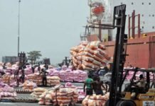 Food import bill falls 7.4% despite higher FX use