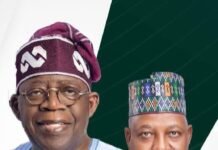 People told Tinubu I planned to kill him – Shettima