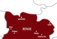 Benue: SGF’s Wife, Mark’s Daughter Secure Tickets as Seven Incumbents Lose