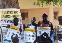 Diarrhea: Zulum orders distribution of drugs, consumables