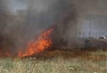Israeli occupiers set fire to farmland in Christian-majority town in West Bank